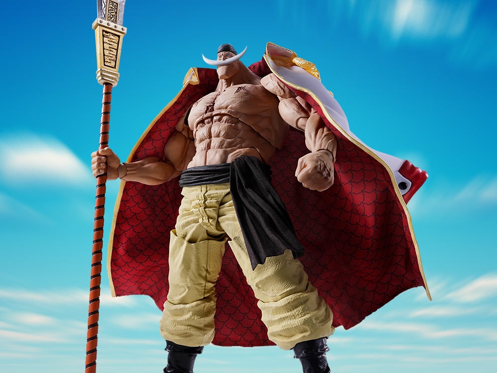 One Piece Action Figures, Statues & More!