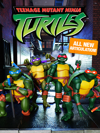 Image of Teenage Mutant Ninja Turtles (2003 Animated Series) ULTIMATES! Action Figures & More!