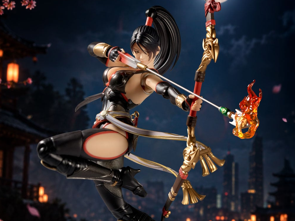 Ninja Gaiden Action Figures & More!