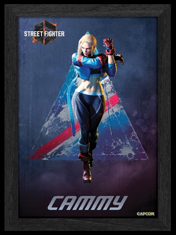 Street Fighter 6 PLAX Cammy Lenticular Frame