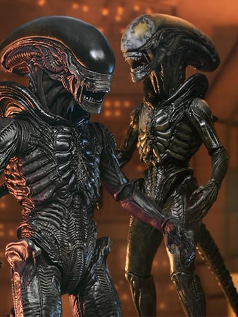 Image of Alien: Earth Ultimate Xenomorph Action Figures & More!