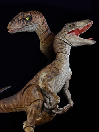 Image of Nanmu Zero-Set Easy Motion Raptor 2.5+ Action Figures & More!