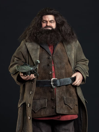 Harry Potter (TV Series) Rubeus Hagrid 1/6 Scale Statue