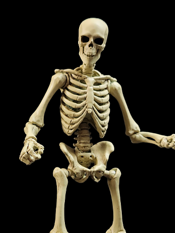 Image of Epic H.A.C.K.S. Skeleton Blank (Classic Bone) 1/12 Scale Action Figure