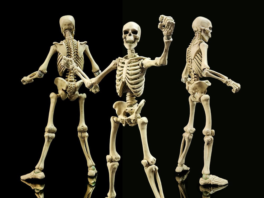 Image of Epic H.A.C.K.S. Skeleton Blank (Classic Bone) 1/12 Scale Action Figure