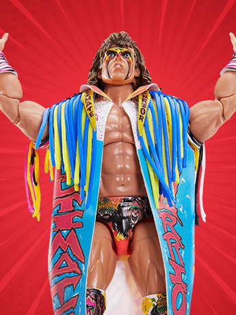 Image of WWE Figures & More!