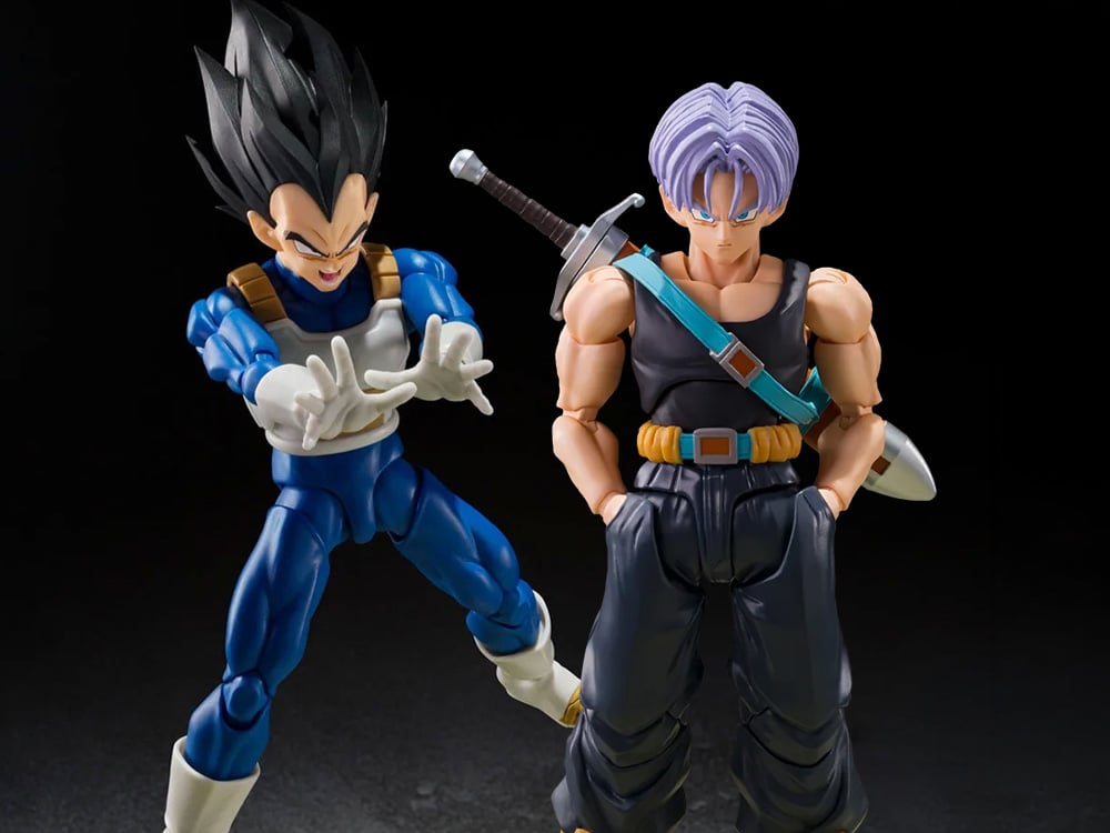 S.H.Figuarts Action Figures