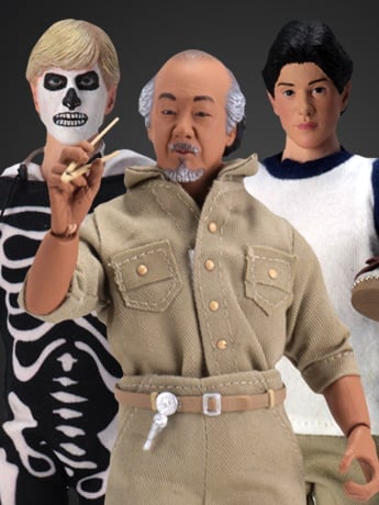 Image of The Karate Kid