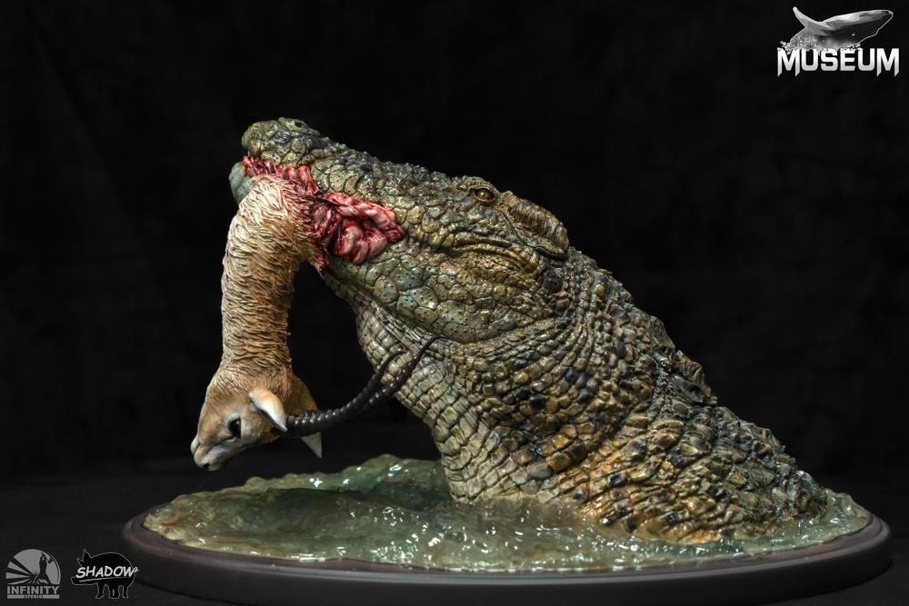 Nile Crocodile 1/4 Scale Bust