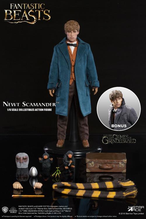 Fantastic Beasts and Where to Find Them Newt Scamander (With Bonus