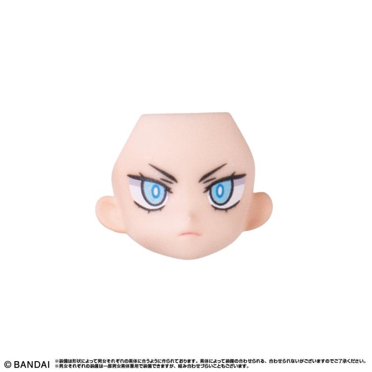 Link Travelers: The Road to Mastery Side:G Boxed Set of 16 Capsules