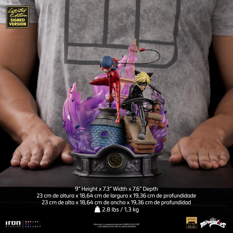 Miraculous Ladybug And Cat Noir (10th Anniversary Signed Edition