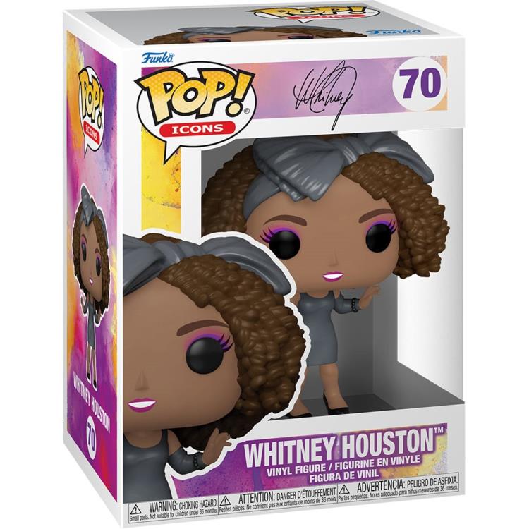 Pop! Icons: Whitney Houston Gallery Image 4