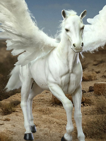 Clash of the Titans Ray Harryhausen’s 100th Anniversary Pegasus 1/6 Scale Statue Gallery Image 2