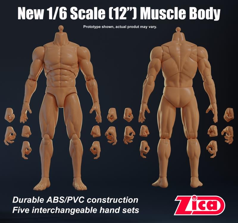 Male 1/6 Scale Muscle Body Gallery Image 3
