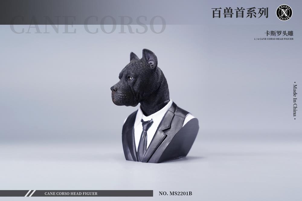 Cane Corso Head (Ver. B) 1/6 Scale Accessory Gallery Image 3