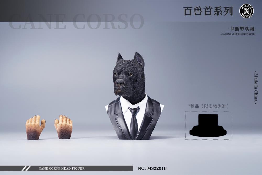 Cane Corso Head (Ver. B) 1/6 Scale Accessory Gallery Image 4
