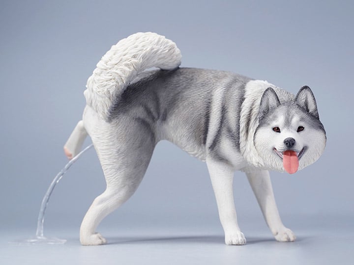 Siberian Husky Leg Lift (Ver. B) 1/6 Scale Figure Gallery Image 1