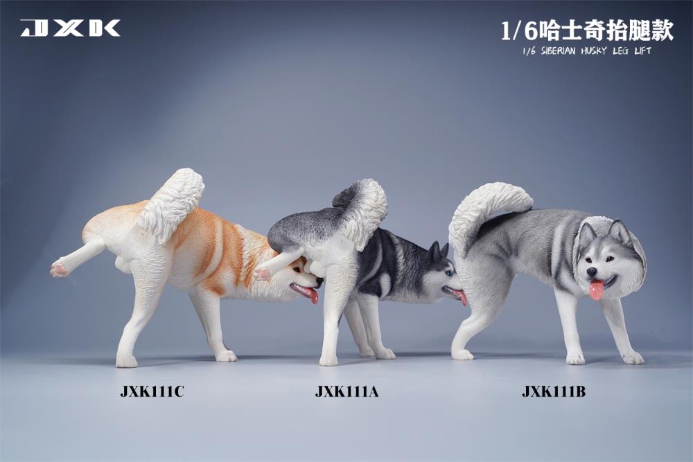 Siberian Husky Leg Lift (Ver. B) 1/6 Scale Figure Gallery Image 4
