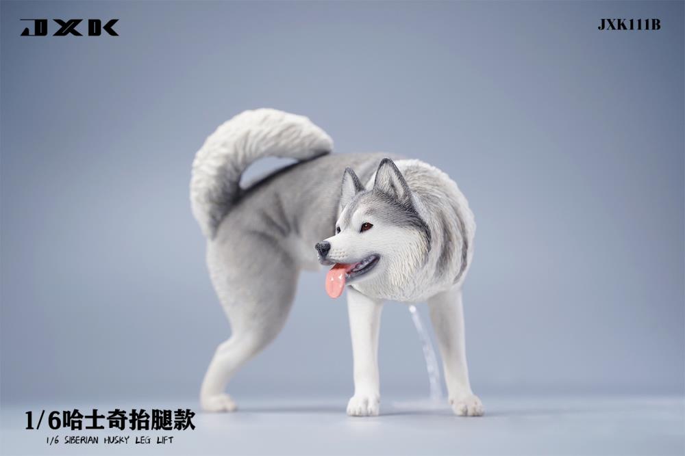 Siberian Husky Leg Lift (Ver. B) 1/6 Scale Figure Gallery Image 3