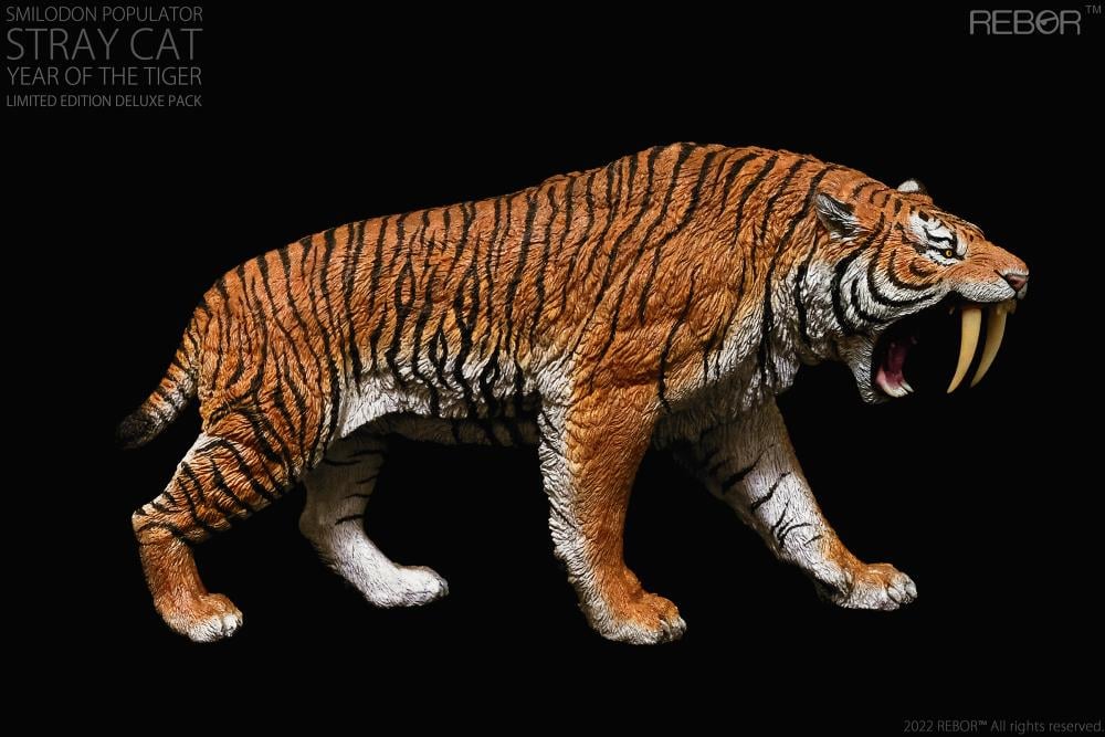 Smilodon Populator "Stray Cat" Deluxe (Year of the Tiger) 1:11±1 Scale Museum Class Limited Edition Replica Gallery Image 6