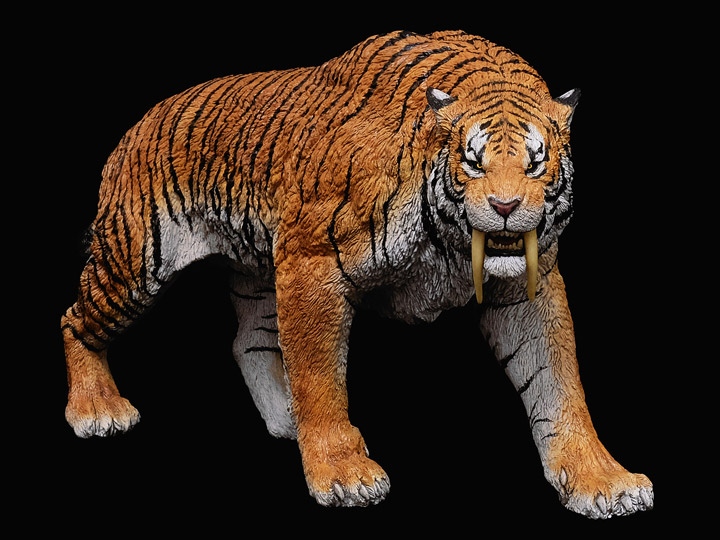 Smilodon Populator "Stray Cat" Deluxe (Year of the Tiger) 1:11±1 Scale Museum Class Limited Edition Replica Gallery Image 1