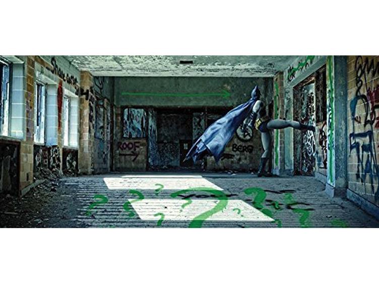 Figure Fantasy: The Pop Culture Photography of Daniel Picard Gallery Image 2