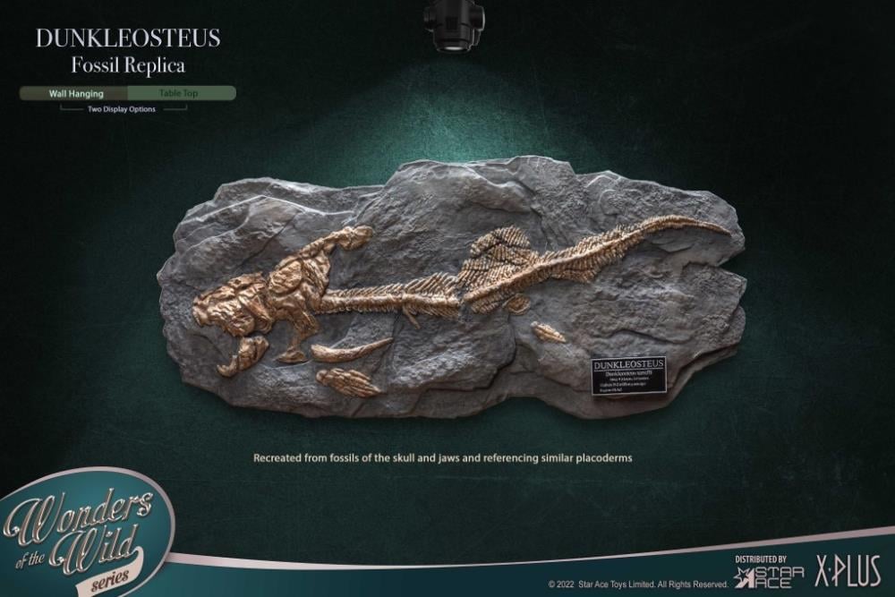 Wonders of the Wild Dunkleosteus Fossil Replica Gallery Image 3