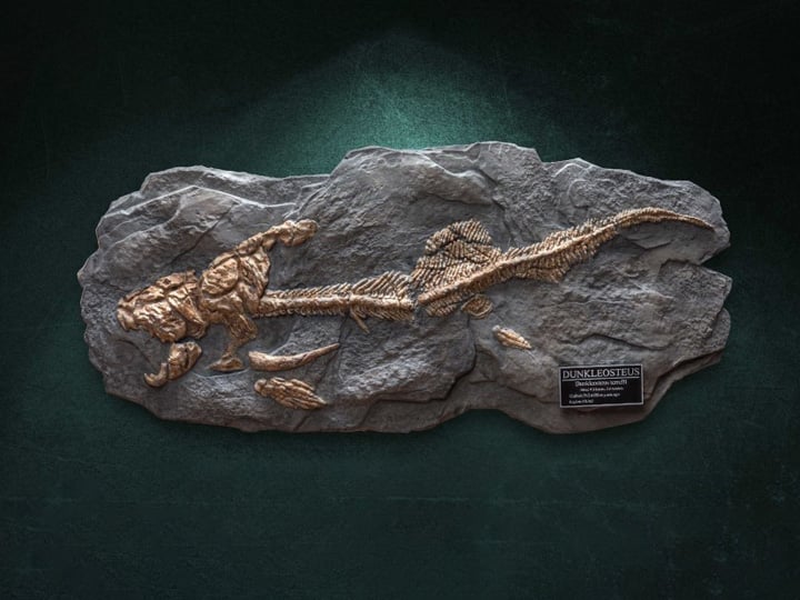 Wonders of the Wild Dunkleosteus Fossil Replica Gallery Image 1