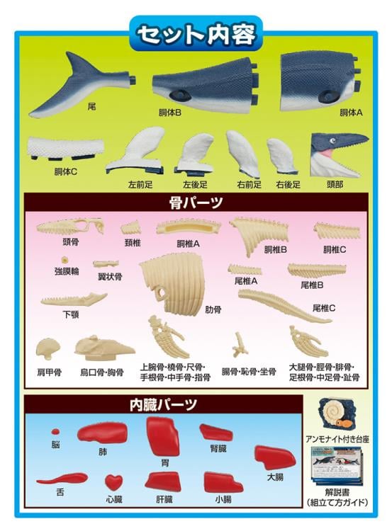 Mosasaurus Kaitai Puzzle Gallery Image 7