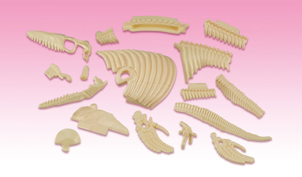 Mosasaurus Kaitai Puzzle Gallery Image 4