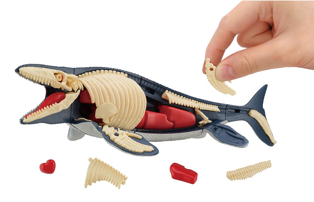 Mosasaurus Kaitai Puzzle Gallery Image 6