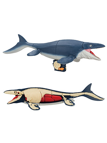 Mosasaurus Kaitai Puzzle Gallery Image 2