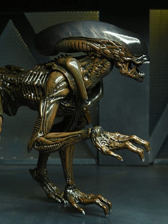 Aliens: Fireteam Elite Runner Alien Action Figure Gallery Image 2