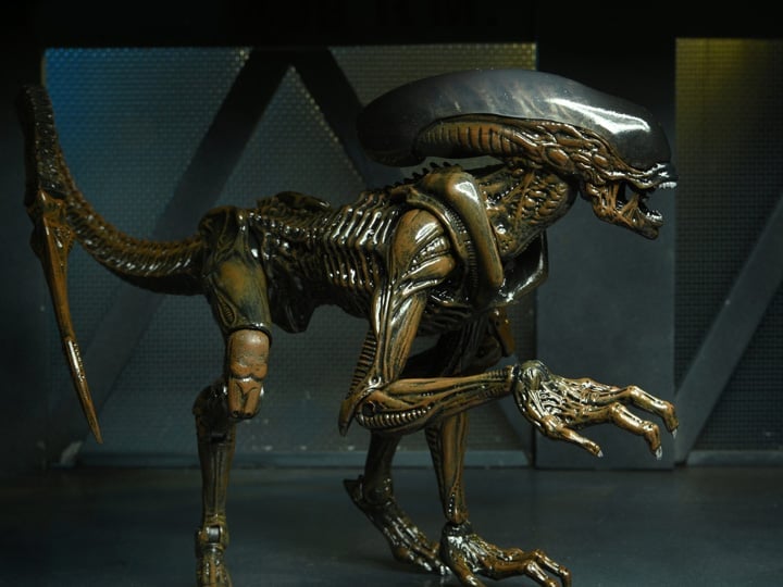 Aliens: Fireteam Elite Runner Alien Action Figure Gallery Image 1
