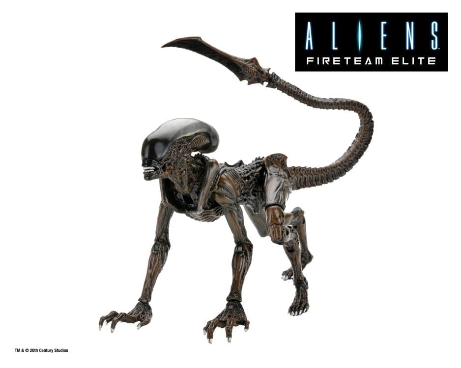 Aliens: Fireteam Elite Runner Alien Action Figure Gallery Image 4
