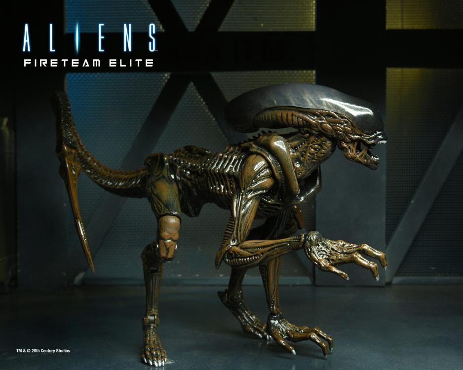 Aliens: Fireteam Elite Runner Alien Action Figure Gallery Image 3