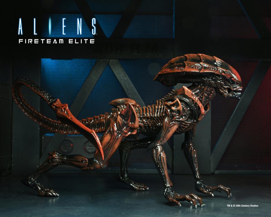 Aliens: Fireteam Elite Prowler Alien Action Figure Gallery Image 3