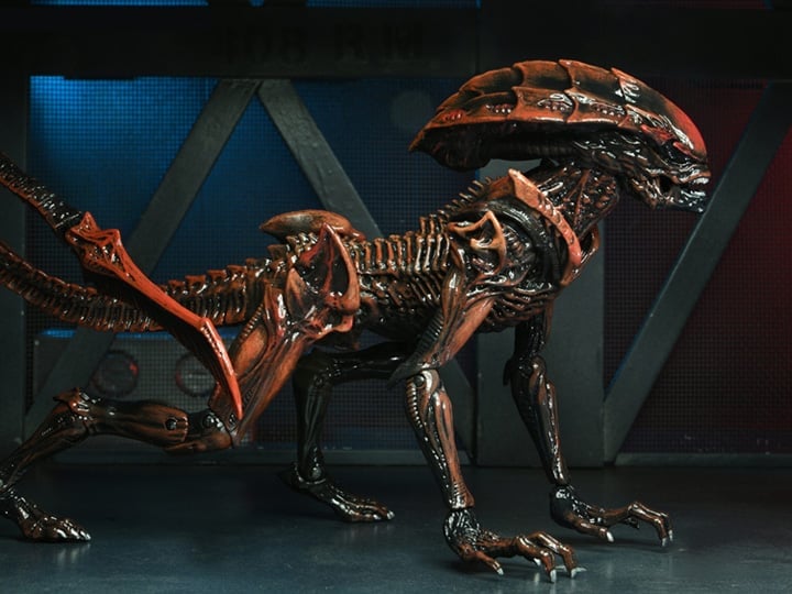 Aliens: Fireteam Elite Prowler Alien Action Figure Gallery Image 1