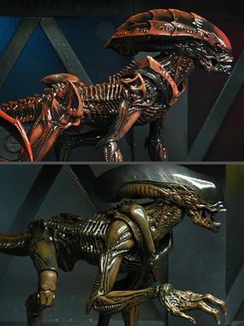 Aliens: Fireteam Elite Series 1 Set of 2 Figures Gallery Image 2