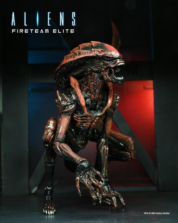 Aliens: Fireteam Elite Series 1 Set of 2 Figures Gallery Image 4