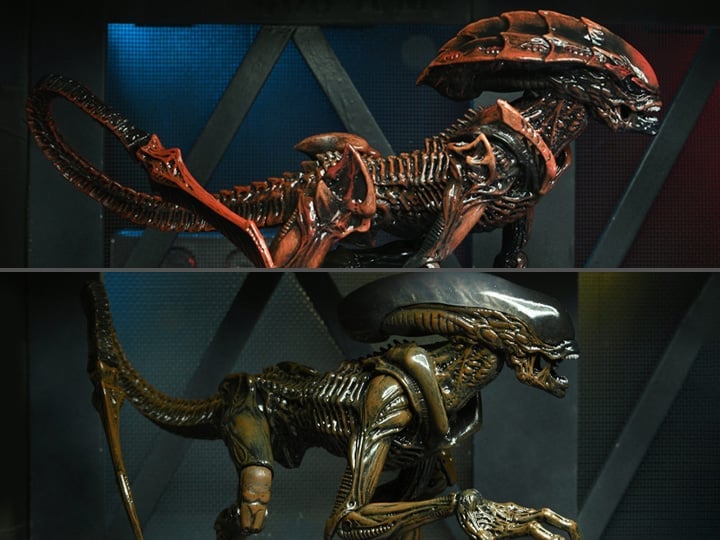 Aliens: Fireteam Elite Series 1 Set of 2 Figures Gallery Image 1