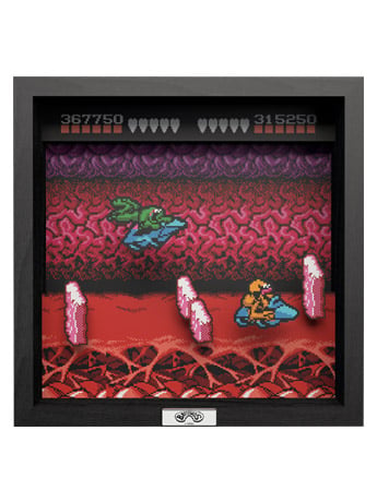 Battletoads Turbo Tunnel Pixel Frame (9x9) Gallery Image 2
