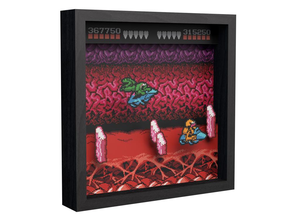 Battletoads Turbo Tunnel Pixel Frame (9x9) Gallery Image 5
