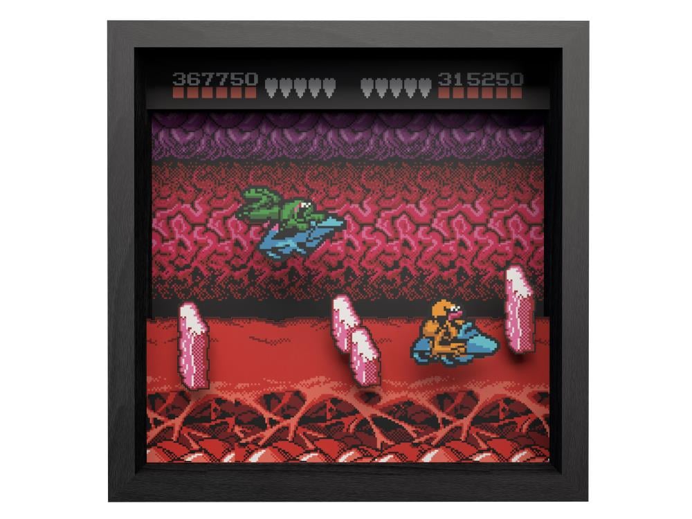 Battletoads Turbo Tunnel Pixel Frame (9x9) Gallery Image 3