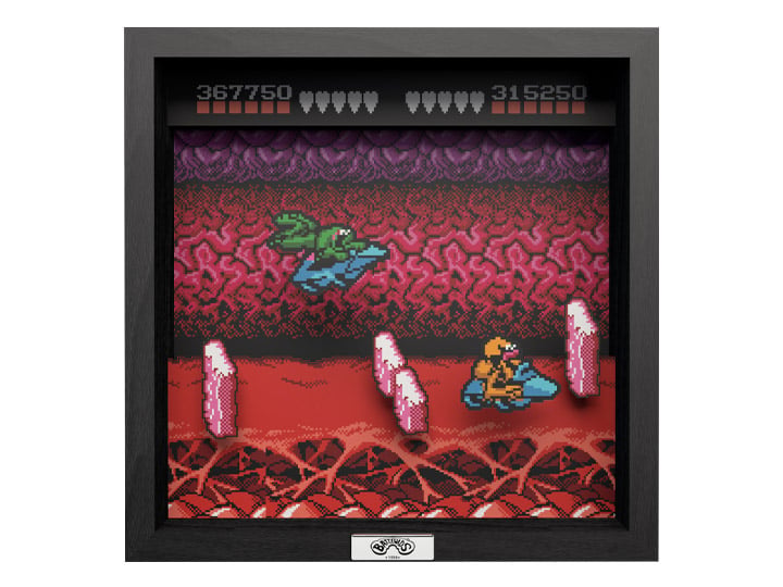 Battletoads Turbo Tunnel Pixel Frame (9x9) Gallery Image 1