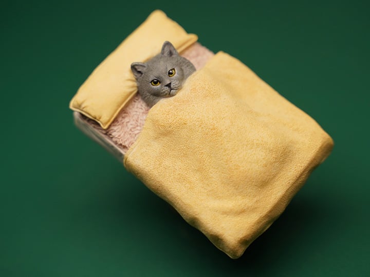 Small Single Cat (Ver. D) 1/6 Scale Figure Gallery Image 1