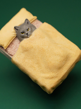 Small Single Cat (Ver. D) 1/6 Scale Figure Gallery Image 2