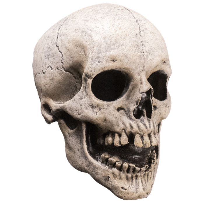 Fear Street Skull Mask Killer Mask Gallery Image 4