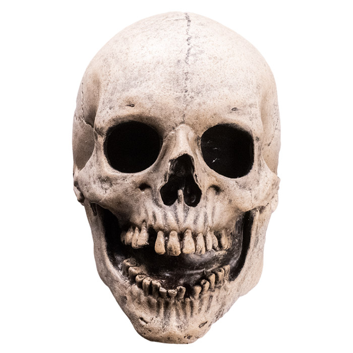 Fear Street Skull Mask Killer Mask Gallery Image 3